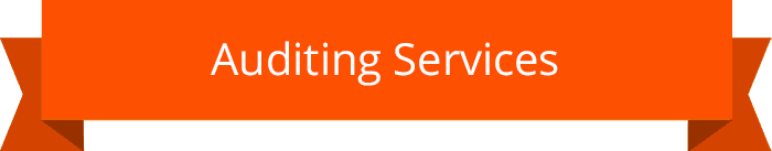 auditing-services-title